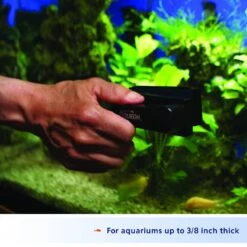 Aqueon Algae Cleaning Magnet For Aquariums -Fish Products 102021 PT5. AC SS1800 V1638483392