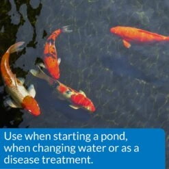 API Pond Salt 12 API Pond Salt -Fish Products 104369 PT3. AC SS1800 V1522679417