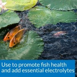 API Pond Salt 13 API Pond Salt -Fish Products 104369 PT4. AC SS1800 V1522679470