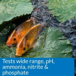 API Pond Master Test Kit -Fish Products 104377 PT5. AC SS1800 V1522679492