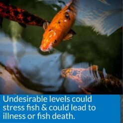 API Pond 5-IN-1 Test Strips 13 API Pond 5-IN-1 Test Strips -Fish Products 104379 PT5. AC SS1800 V1522679479