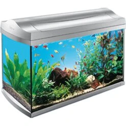 Tetra Whisper Air Pump For Deep Water Aquariums 12 Tetra Whisper Air Pump For Deep Water Aquariums -Fish Products 105684 PT4. AC SS1800 V1617322620