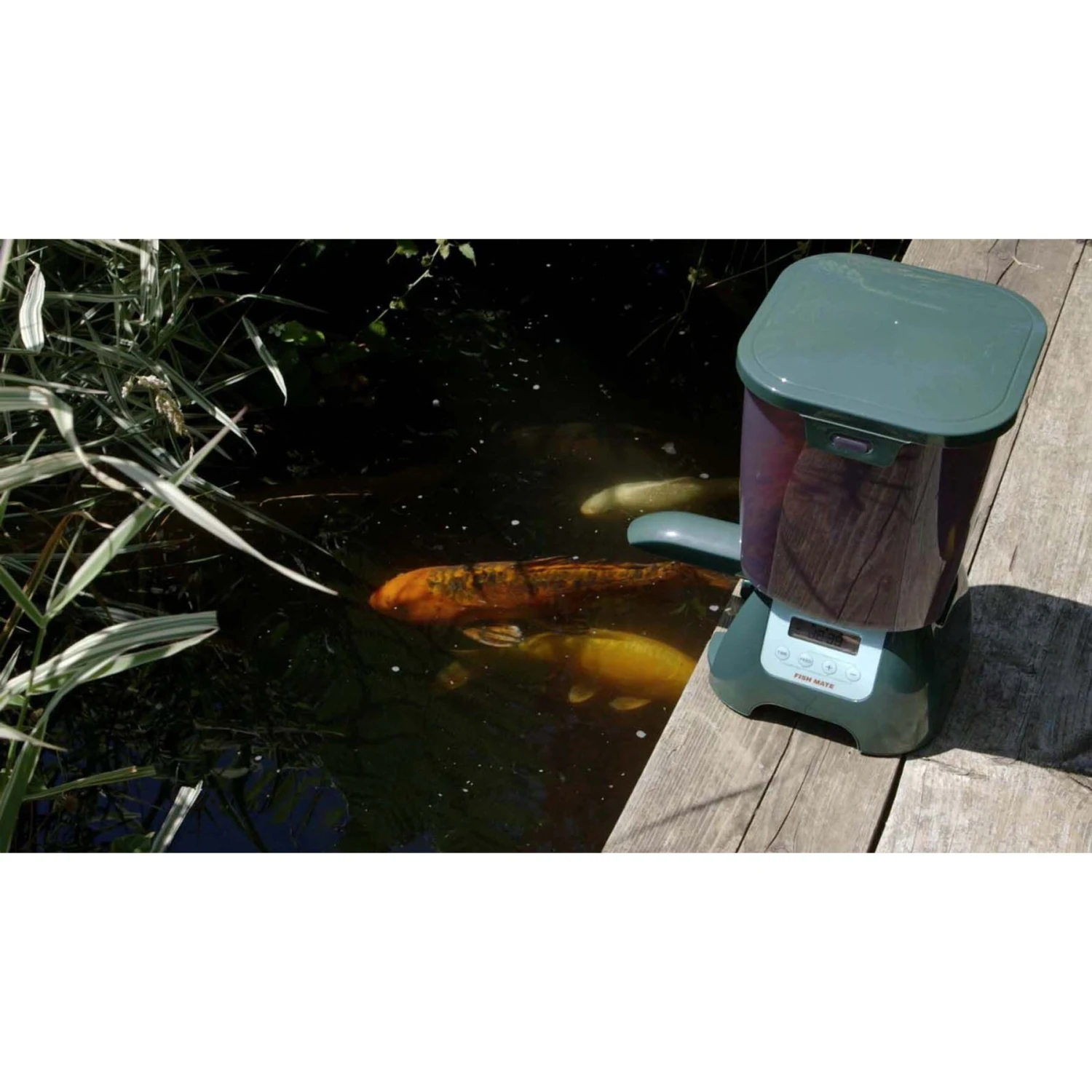 Fish Mate Pond Fish Feeder 9 Fish Mate Pond Fish Feeder - Image 7