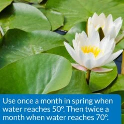 API Pond Aquatic Plant Food Tablets -Fish Products 113060 PT3. AC SS1800 V1522679567