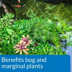 API Pond Aquatic Plant Food Tablets -Fish Products 113060 PT5. AC SS1800 V1522679518