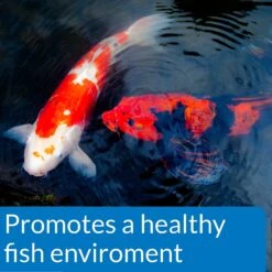 API Pond Ecofix Sludge Destroyer Pond Water Clarifier & Sludge Remover -Fish Products 123899 PT3. AC SS1800 V1522679732