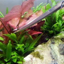 SubstrateSource Stainless Steel Aquarium Aquascaping Kit 14 SubstrateSource Stainless Steel Aquarium Aquascaping Kit -Fish Products 125924 PT4. AC SS1800 V1495727442