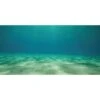 Sporn Static Cling Ocean Floor Aquarium Background 2 Sporn Static Cling Ocean Floor Aquarium Background -Fish Products 129768 MAIN. AC SS1800 V1498068048