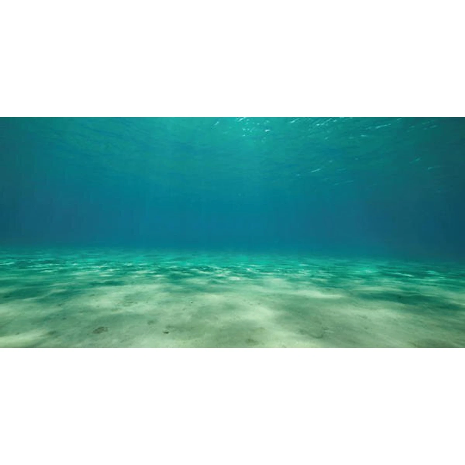 Sporn Static Cling Ocean Floor Aquarium Background 3 Sporn Static Cling Ocean Floor Aquarium Background