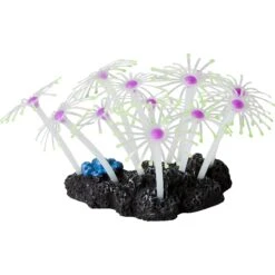 Sporn Star Polyps Coral Aquarium Decoration