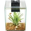 Fluval Chi Aquarium Kit 1 Fluval Chi Aquarium Kit -Fish Products 135526 MAIN. AC SS1800 V1503090360