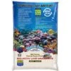 Nature's Ocean Bio-Activ Live Aragonite Saltwater Aquarium Sand, Natural White #1 -Fish Products 135529 MAIN. AC SS1800 V1503079564