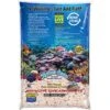 Nature's Ocean Bio-Activ Live Aragonite Saltwater Aquarium Sand, Reef Substrate, 8-lb Bag -Fish Products 135533 MAIN. AC SS1800 V1503079532