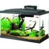 Aqueon LED Fish Aquarium Starter Kit, 10-gal -Fish Products 159008 MAIN. AC SS1800 V1674496095