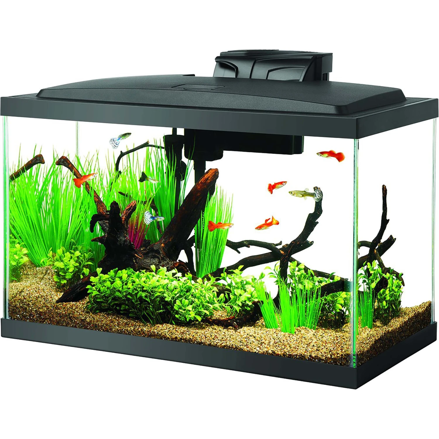 Aqueon LED Fish Aquarium Starter Kit, 10-gal 3 Aqueon LED Fish Aquarium Starter Kit, 10-gal