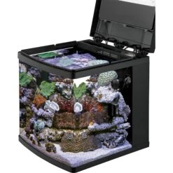 Coralife LED BioCube Aquarium Kit -Fish Products 163965 PT8. AC SS1800 V1566332843