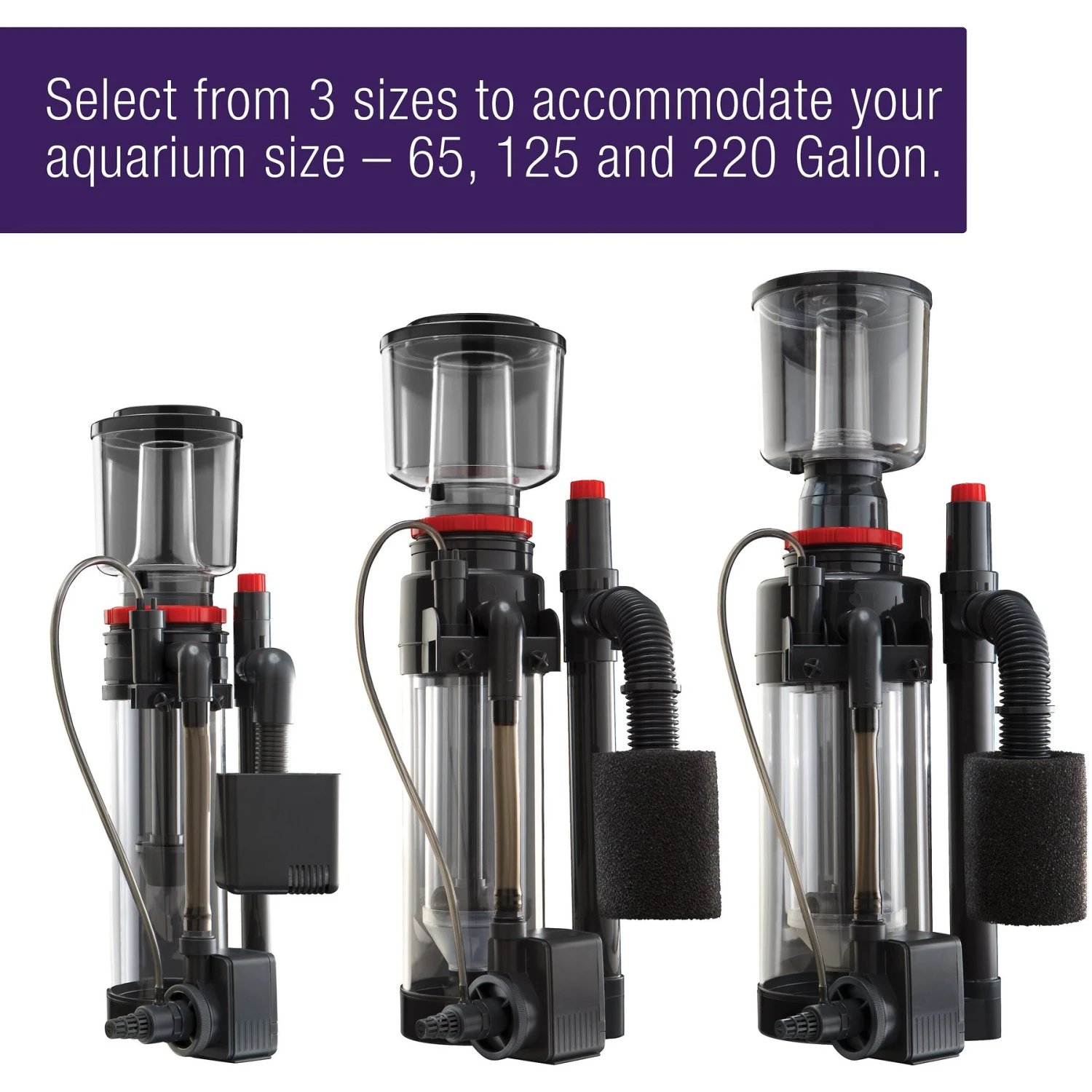 Coralife Super Protein Aquarium Skimmer & Pump 7 Coralife Super Protein Aquarium Skimmer & Pump - Image 5