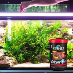 Cobalt Aquatics Color Flakes Fish Food -Fish Products 165387 PT6. AC SS1800 V1615870287