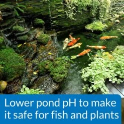 API Pond PH Down Pond Water PH Reducing Solution -Fish Products 165856 PT5. AC SS1800 V1555957434