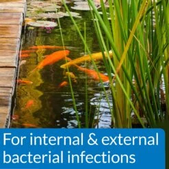 API Pond Pimafix Antifungal Pond Fish Infection Remedy -Fish Products 165860 PT4. AC SS1800 V1555957629