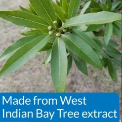 API Pond Pimafix Antifungal Pond Fish Infection Remedy -Fish Products 165860 PT5. AC SS1800 V1555957635