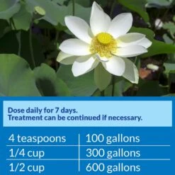 API Pond Pimafix Antifungal Pond Fish Infection Remedy -Fish Products 165860 PT6. AC SS1800 V1555957637