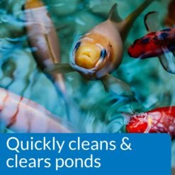 API Pond Simply Clear Pond Water Clarifier -Fish Products 165866 PT4. AC SS1800 V1555955237