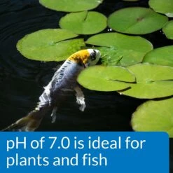 API Pond Wide Range PH Test Kit 160-Test Pond Water Test Kit -Fish Products 165868 PT4. AC SS1800 V1555955253