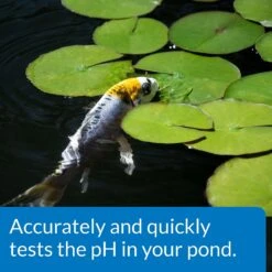 API Pond Wide Range PH Test Kit 160-Test Pond Water Test Kit -Fish Products 165868 PT5. AC SS1800 V1555955255