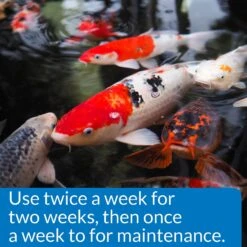 API Pondcare Microbial Algae Clean Green Water Biological Inhibitor -Fish Products 165871 PT3. AC SS1800 V1555955277