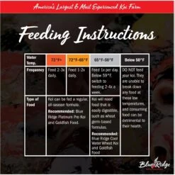 Blue Ridge Koi & Goldfish Platinum Pro Formula Koi & Goldfish Food -Fish Products 189581 PT3. AC SS1800 V1692293385