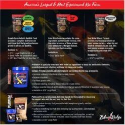 Blue Ridge Koi & Goldfish Platinum Pro Formula Koi & Goldfish Food -Fish Products 189581 PT5. AC SS1800 V1692293386