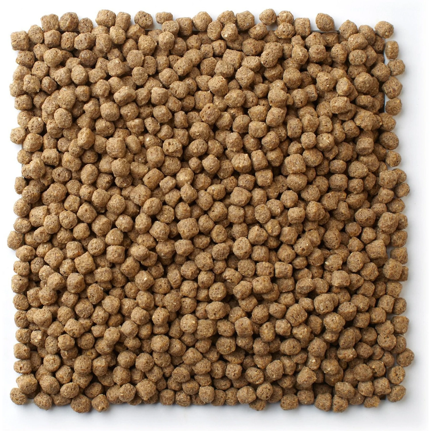 Mazuri Koi Platinum Nuggets For Fish 6-12 Inches Food 4 Mazuri Koi Platinum Nuggets For Fish 6-12 Inches Food - Image 2