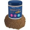 Aqueon PRO Revitanew Formula Fish Food, 1.4-oz Jar -Fish Products 206246 MAIN. AC SS1800 V1608658943