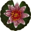 Tetra Pond Floating Water Lily Aquarium Decor -Fish Products 215972 Main. AC SS1800 V1579560491
