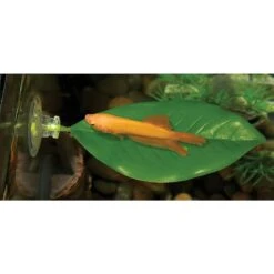 Zoo Med Betta Bed Leaf Fish Hammock, Large -Fish Products 231127 PT2. AC SS1800 V1586784725