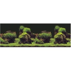 Vepotek Double-Sided Fish Aquarium Background, Deep Sea & Water Plants -Fish Products 231317 PT3. AC SS1800 V1588005421