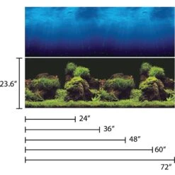 Vepotek Double-Sided Fish Aquarium Background, Deep Sea & Water Plants -Fish Products 231317 PT4. AC SS1800 V1588005427