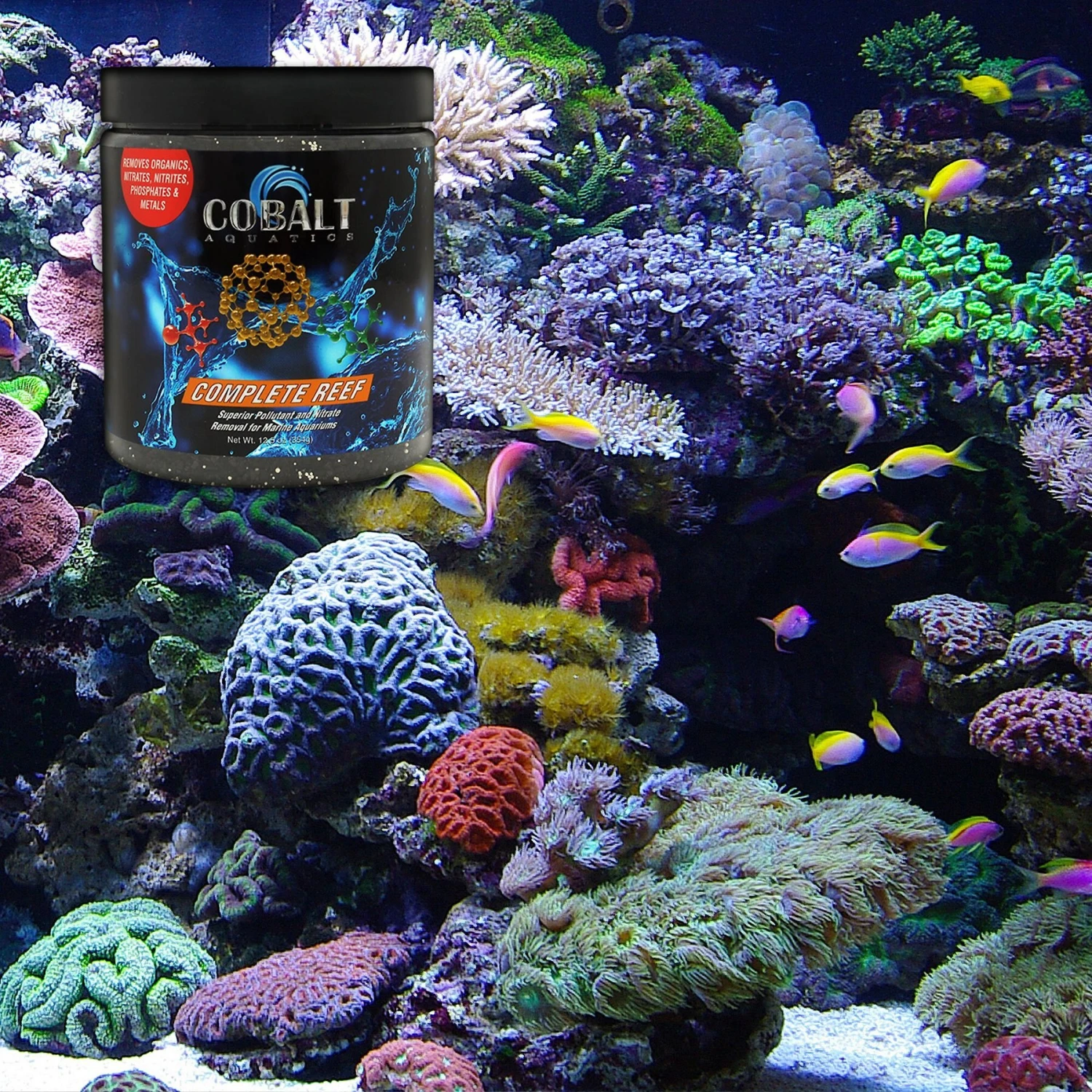 Cobalt Aquatics Complete Reef Superior Pollutant & Aquarium Nitrate Removal, 53-oz Tub 7 Cobalt Aquatics Complete Reef Superior Pollutant & Aquarium Nitrate Removal, 53-oz Tub - Image 5