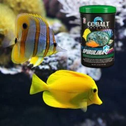 Cobalt Aquatics Spirulina Flakes Fish Food -Fish Products 238483 PT4. AC SS1800 V1669394037