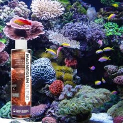 Reeflowers Magnesium Blend C Aquarium Water Treatment -Fish Products 238516 PT7. AC SS1800 V1616512003