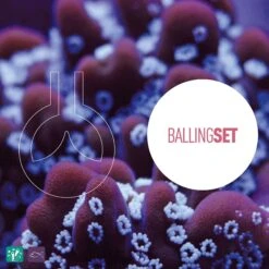 Reeflowers Ionic Balancer & Trace Elements D Aquarium Water Treatment -Fish Products 238518 PT4. AC SS1800 V1616517153