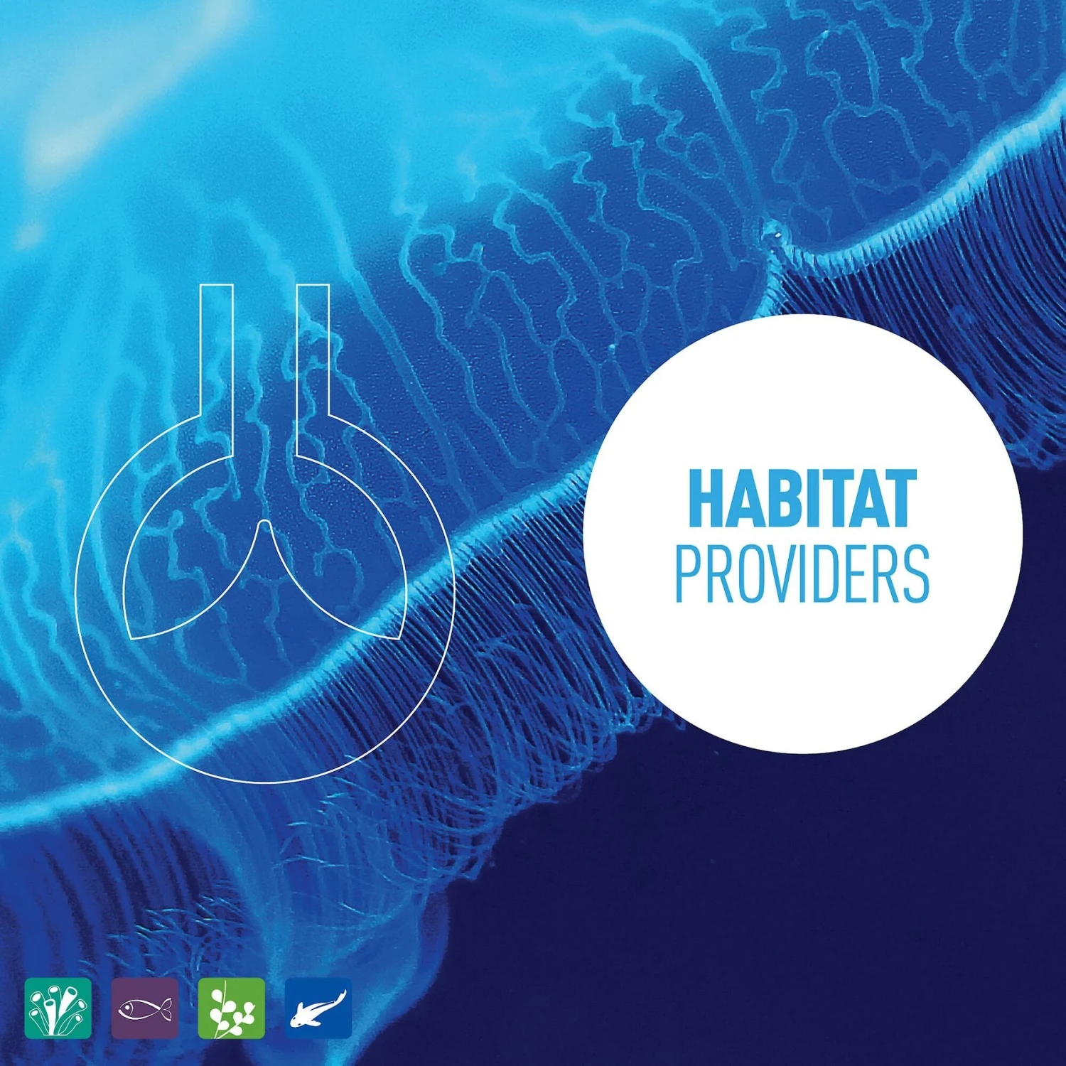 Reeflowers PH Minus Aquarium Water Treatment 7 Reeflowers PH Minus Aquarium Water Treatment - Image 5