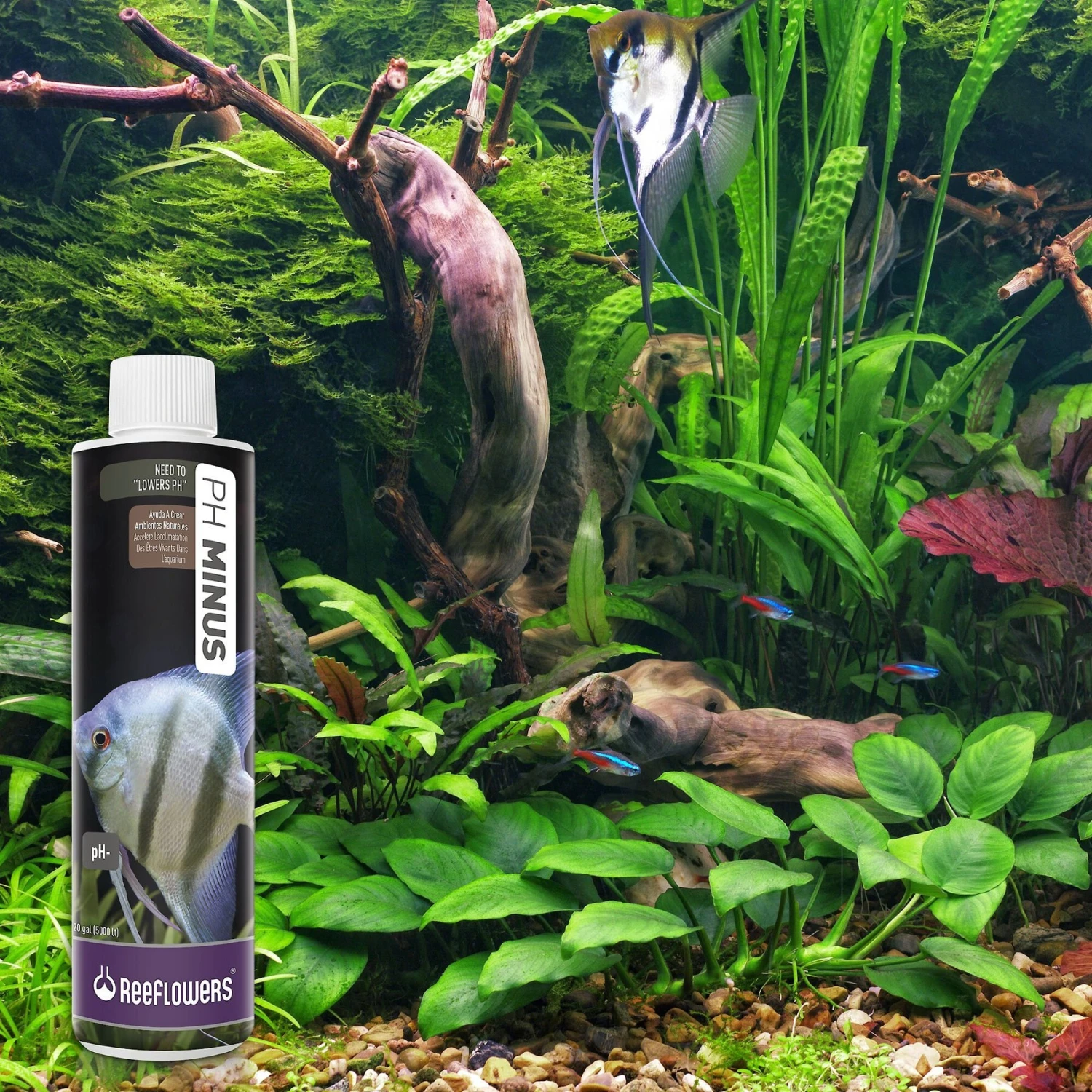 Reeflowers PH Minus Aquarium Water Treatment 9 Reeflowers PH Minus Aquarium Water Treatment - Image 7