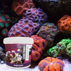 Reeflowers Caledonia Coral Aquarium Salt 15 Reeflowers Caledonia Coral Aquarium Salt -Fish Products 238540 PT6. AC SS1800 V1616518918