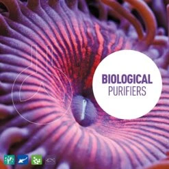 Reeflowers BioClean II Aquarium Water Cleaner -Fish Products 238559 PT4. AC SS1800 V1616517131