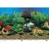 Penn-Plax Shale Wall/Hawaii Blue Double Aquarium Background -Fish Products 239741 MAIN. AC SS1800 V1593461776