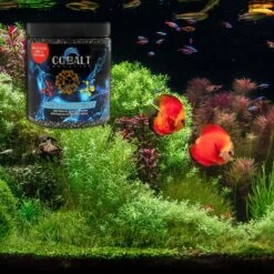 Cobalt Aquatics Complete Freshwater Aquarium Granulated Carbon 11 Cobalt Aquatics Complete Freshwater Aquarium Granulated Carbon -Fish Products 243199 PT4. AC SS1800 V1615937614