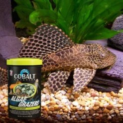Cobalt Aquatics Algae Grazers Fish Food -Fish Products 243230 PT4. AC SS1800 V1669391852