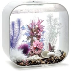 BiOrb Aquarium Decor Set, 8-gal -Fish Products 252199 PT2. AC SS1800 V1601684156